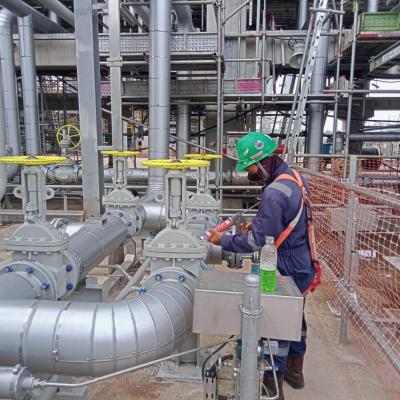 Plant Maintenance Service 21c