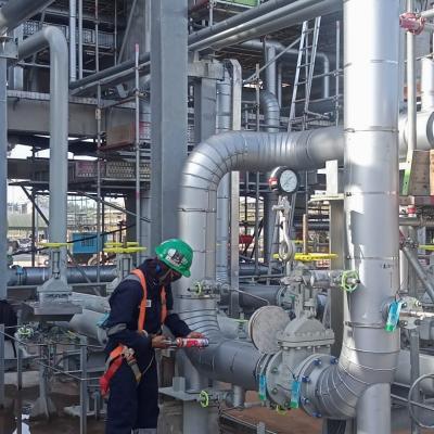 Plant Maintenance Service 21dg